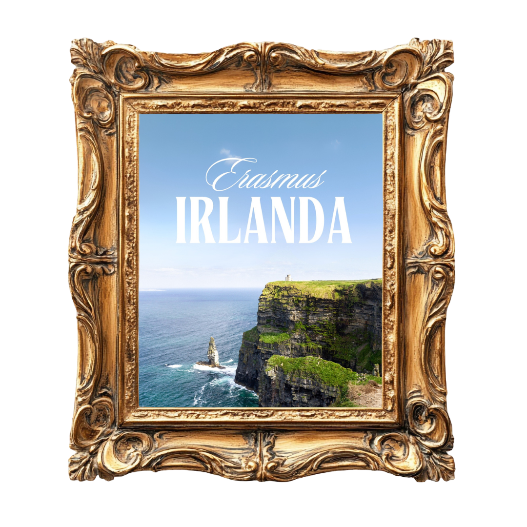 Erasmus Irlanda